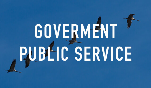 GOVERMENT PUBLIC SERVICE