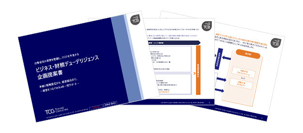 ビジネス・財務デューデリジェンスコンサルティング　サービス資料