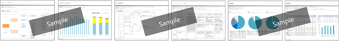 Report Sample